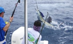 fishing costa rica experts